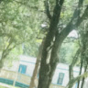 Meet your Posher, Daijah